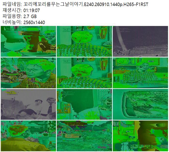 꼬리에꼬리를무는그날이야기.E240.260910.1440p.H265-F1RST