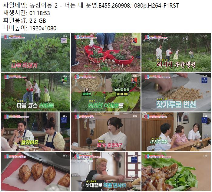 동상이몽 2 - 너는 내 운명.E455.260908.1080p.H264-F1RST