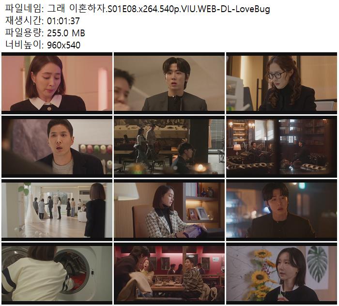 그래 이혼하자.S01E08.x264.540p.VIU.WEB-DL-LoveBug
