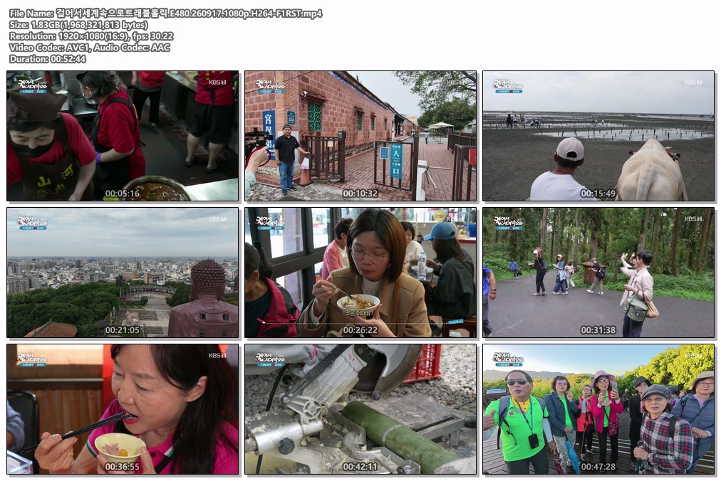 걸어서세계속으로트래블홀릭.E480.260917.1080p.H264-F1RST