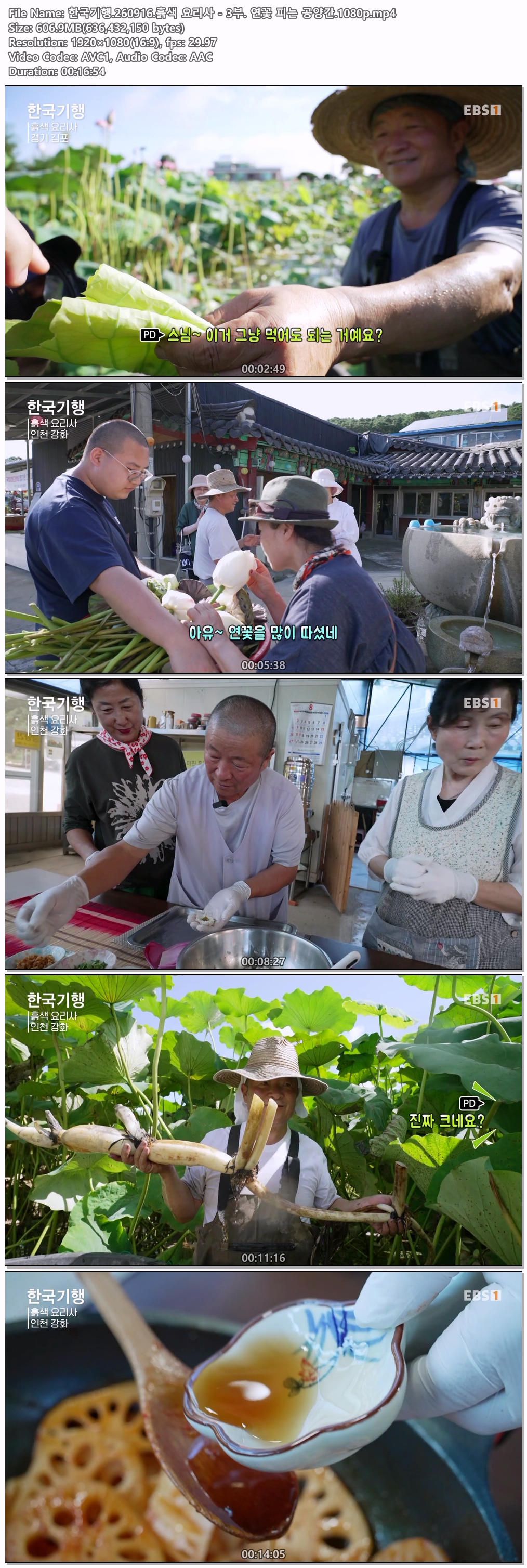한국기행.260916.흙색 요리사 - 3부. 연꽃 피는 공양간.1080p