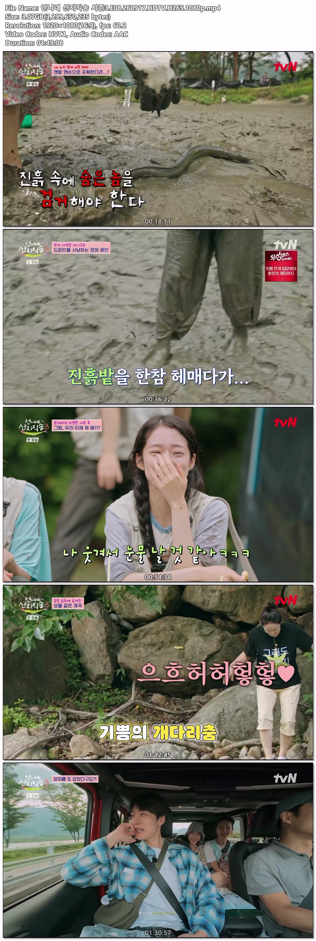 언니네 산지직송 시즌3.E08.260917.HDTV.H265.1080p