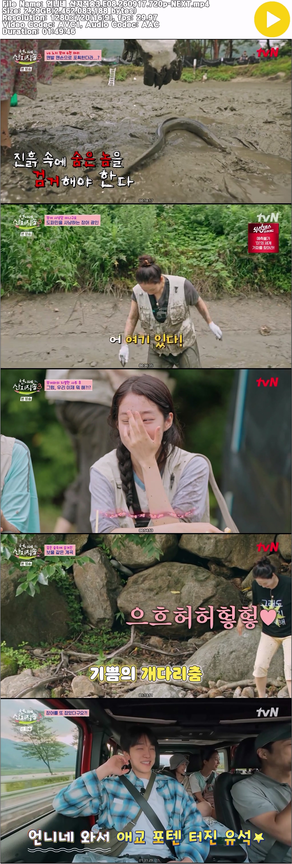 언니네 산지직송3.E08.260917.720p-NEXT