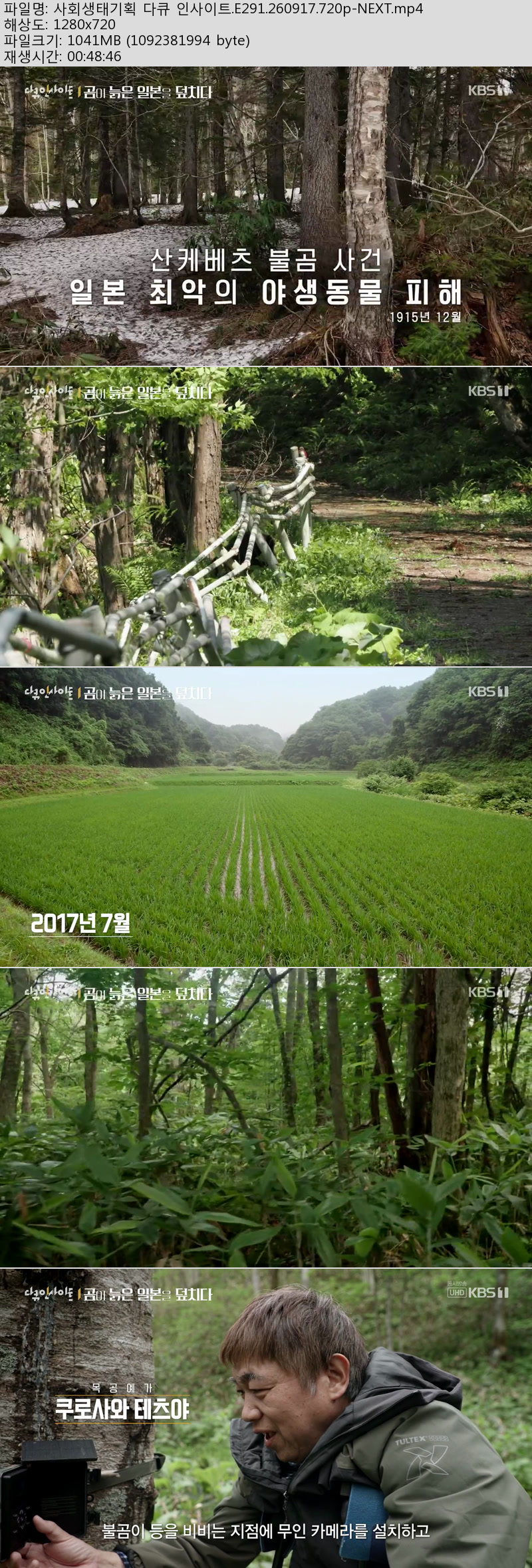 사회생태기획 다큐 인사이트.E291.260917.720p-NEXT