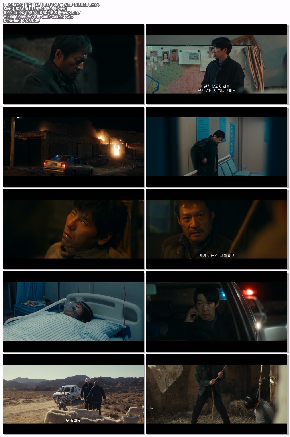 풍중적화염 E13 1080p WEB-DL H264