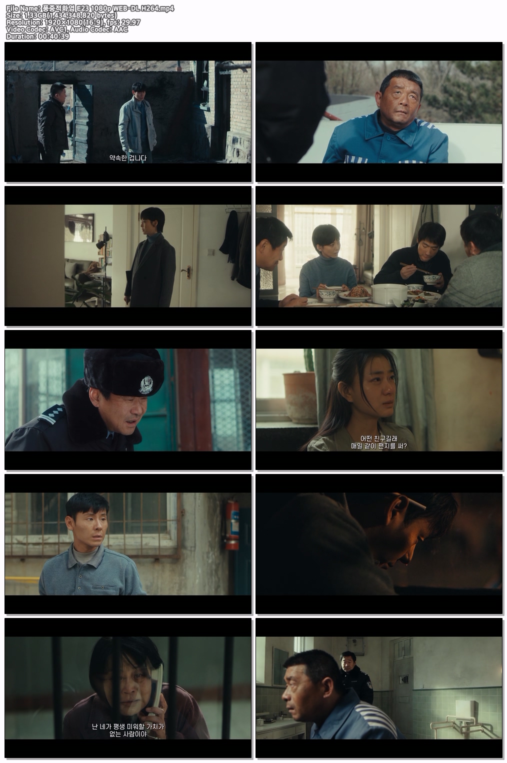 풍중적화염 E23 1080p WEB-DL H264