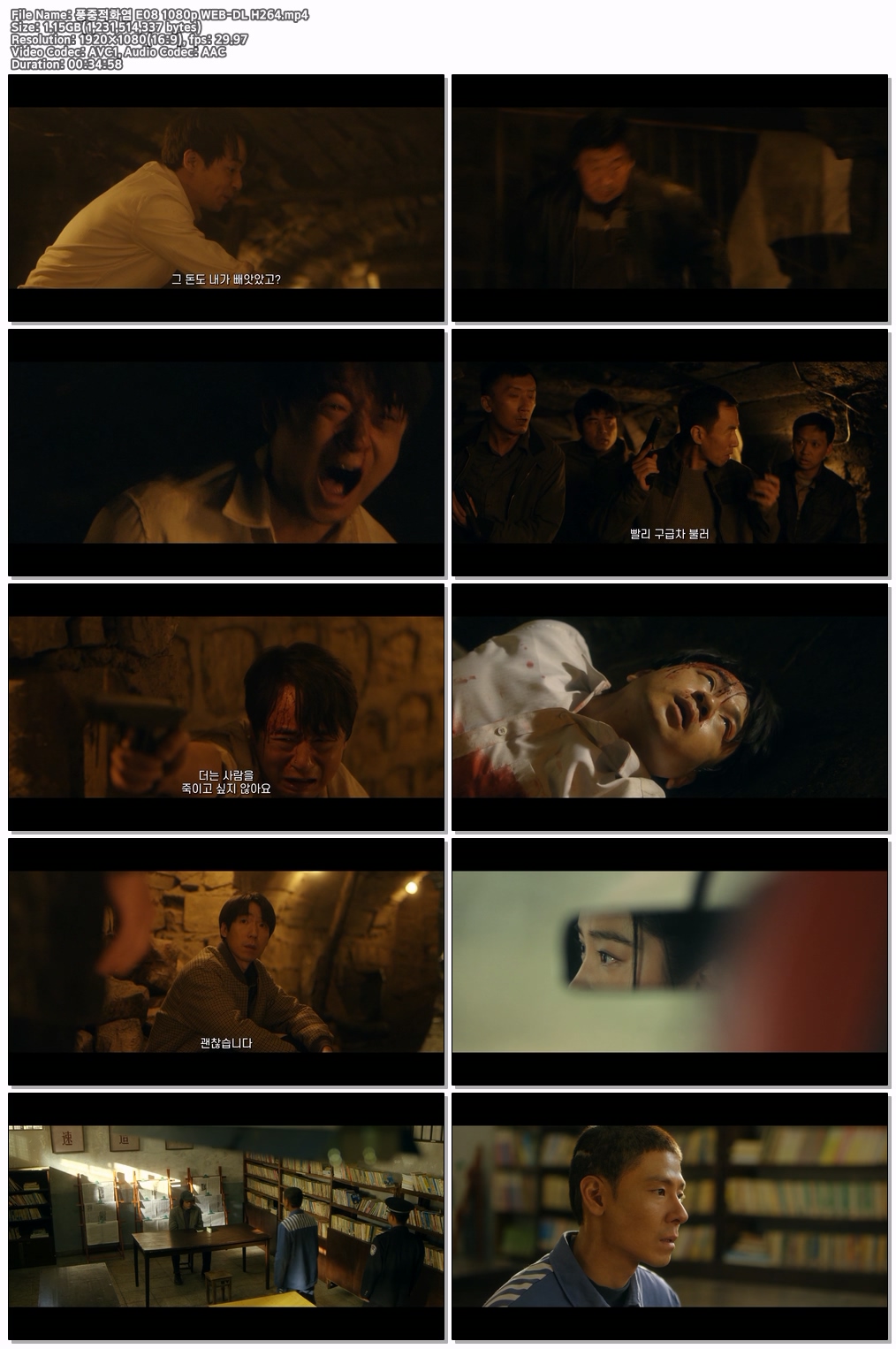 풍중적화염 E08 1080p WEB-DL H264