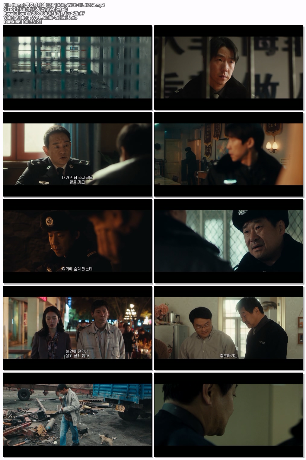 풍중적화염 E21 1080p WEB-DL H264