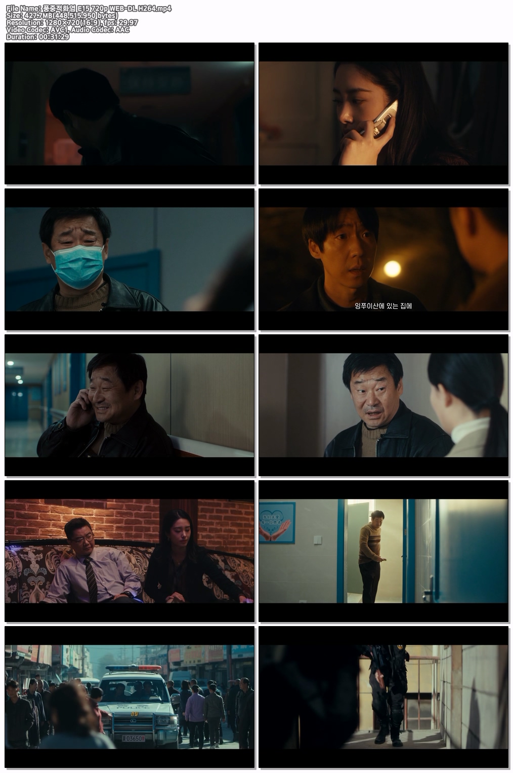 풍중적화염 E15~E16 720p WEB-DL H264