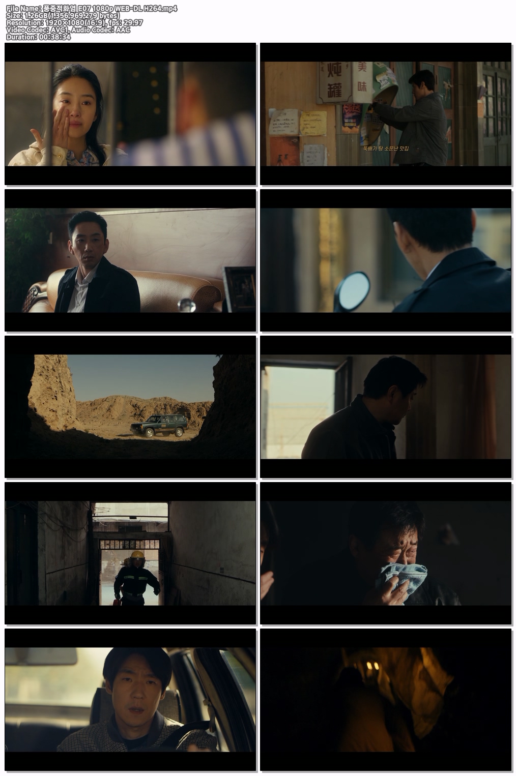 풍중적화염 E07 1080p WEB-DL H264