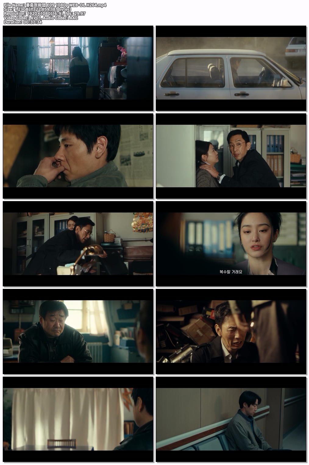 풍중적화염 E09 1080p WEB-DL H264
