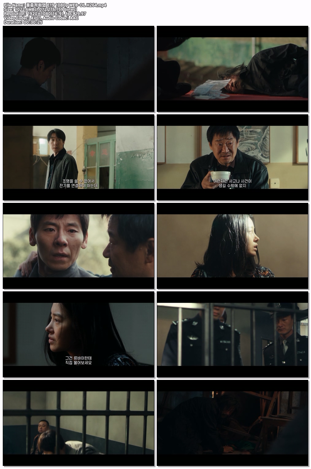 풍중적화염 E19 1080p WEB-DL H264