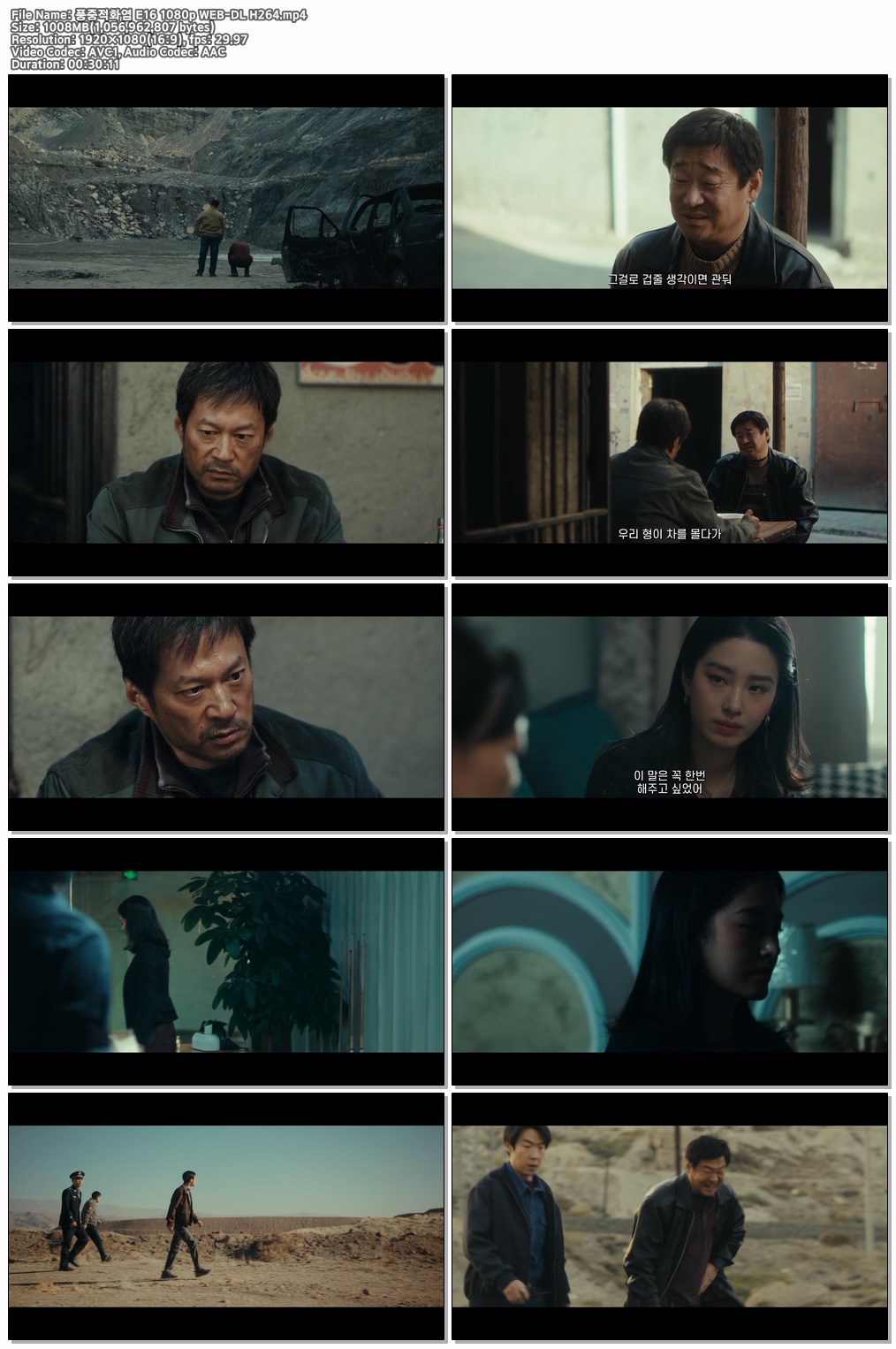 풍중적화염 E16 1080p WEB-DL H264