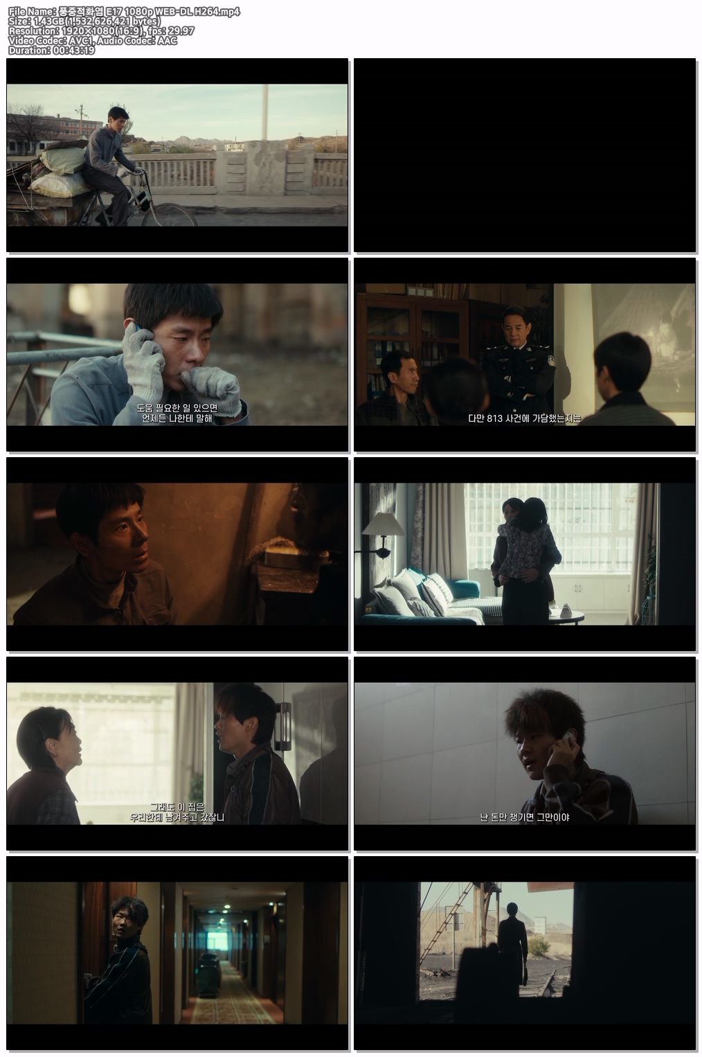풍중적화염 E17 1080p WEB-DL H264