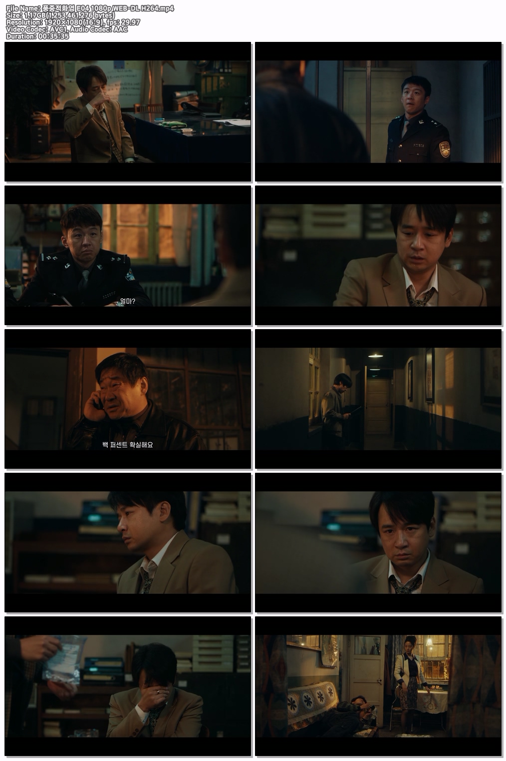 풍중적화염 E04 1080p WEB-DL H264