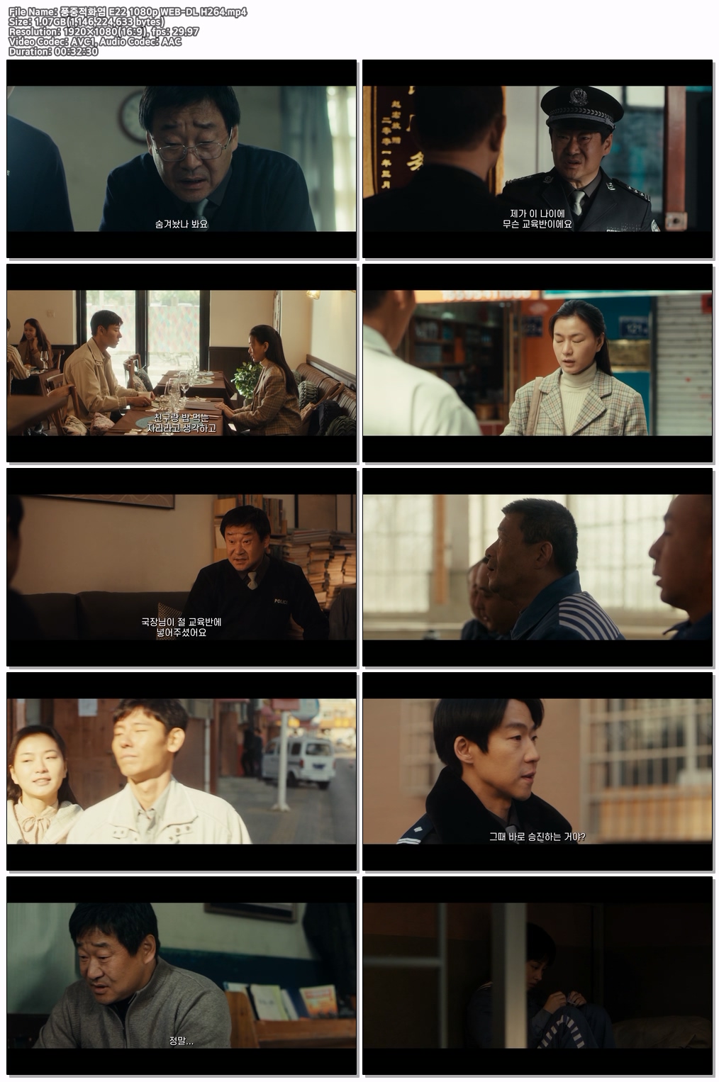 풍중적화염 E22 1080p WEB-DL H264