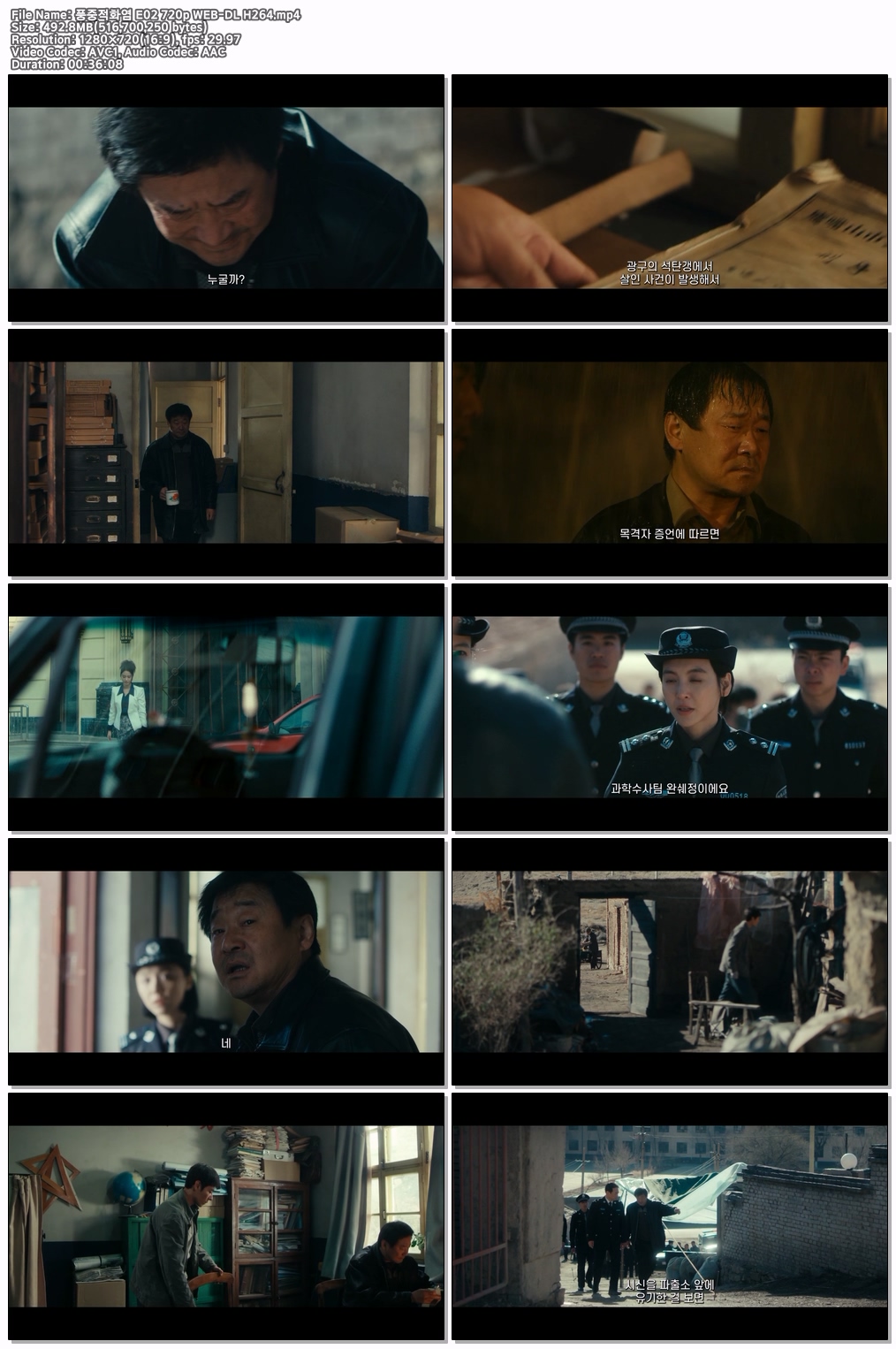 풍중적화염 E02 720p WEB-DL H264