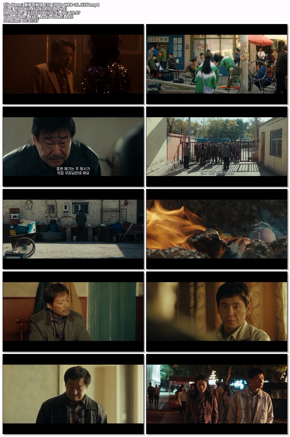 풍중적화염 E10 1080p WEB-DL H264