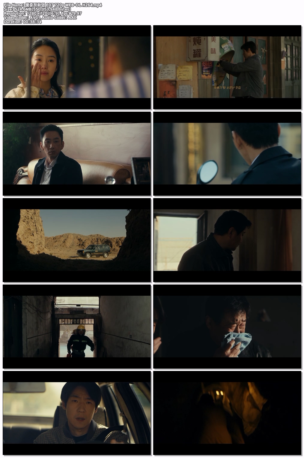 풍중적화염 E07 720p WEB-DL H264