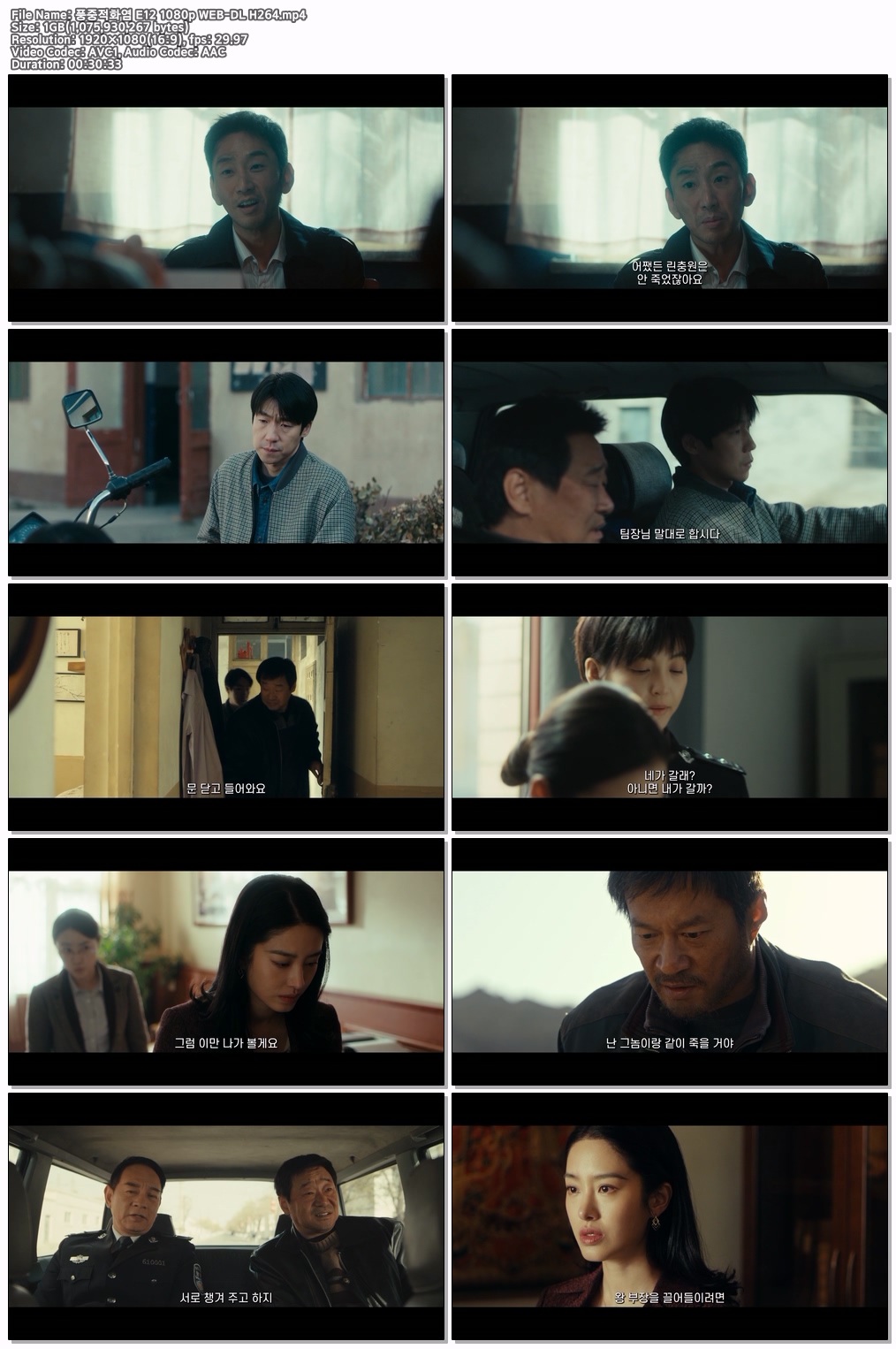 풍중적화염 E12 1080p WEB-DL H264