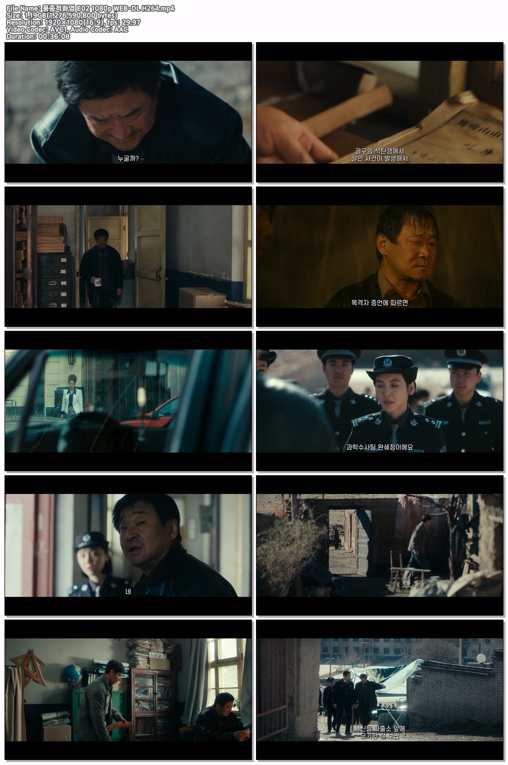 풍중적화염 E02 1080p WEB-DL H264