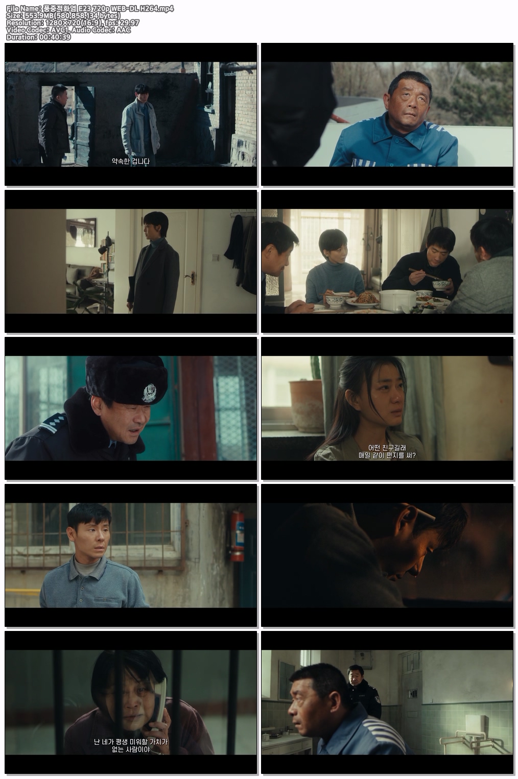 풍중적화염 E23 720p WEB-DL H264