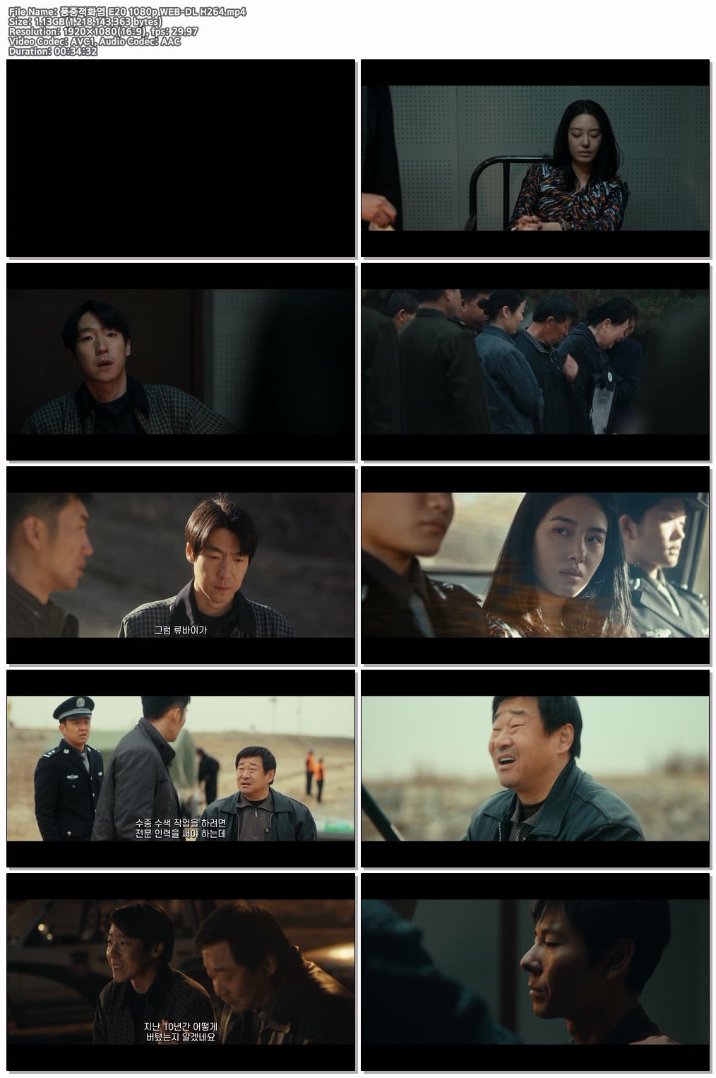 풍중적화염 E20 1080p WEB-DL H264