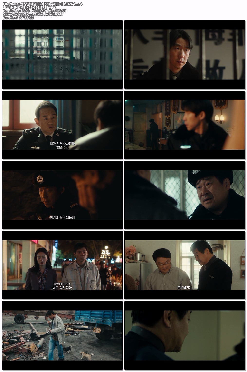 풍중적화염 E21~E22 720p WEB-DL H264