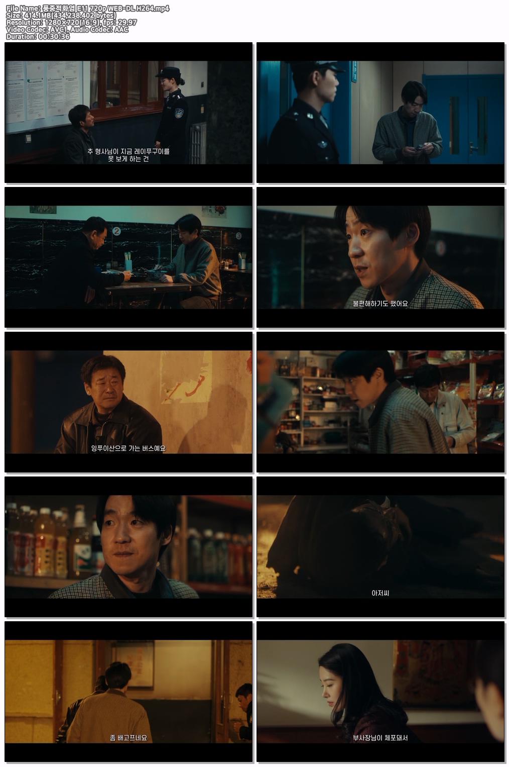 풍중적화염 E11~E12 720p WEB-DL H264