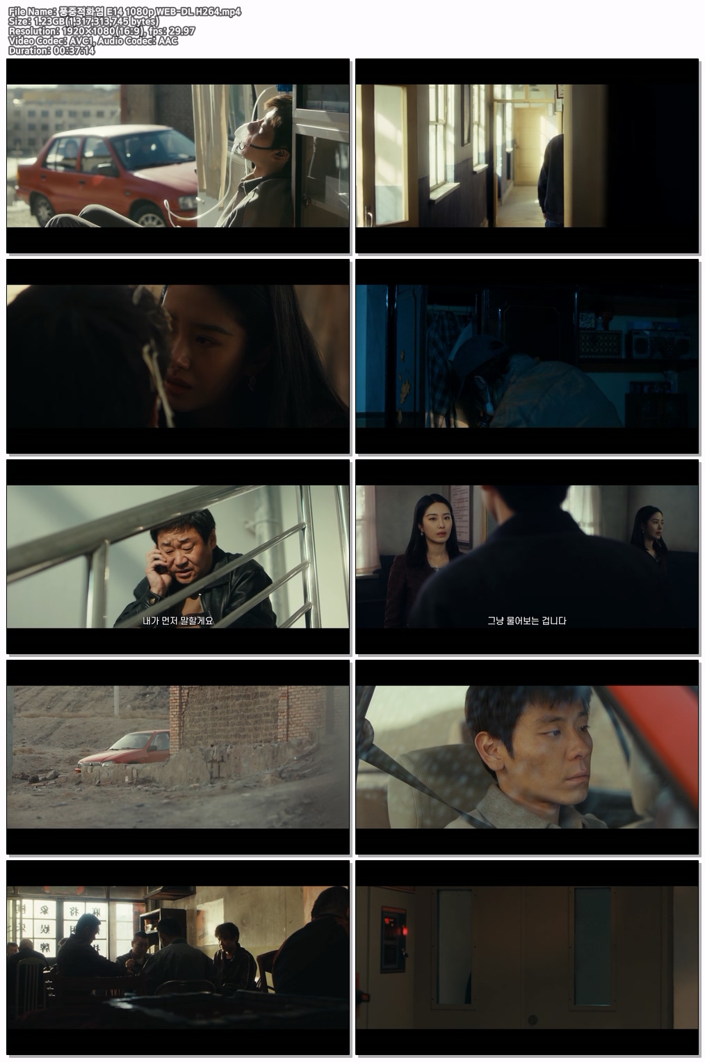 풍중적화염 E14 1080p WEB-DL H264
