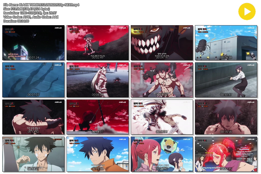 BLACK TORCH.E12.260920.720p-NEXT