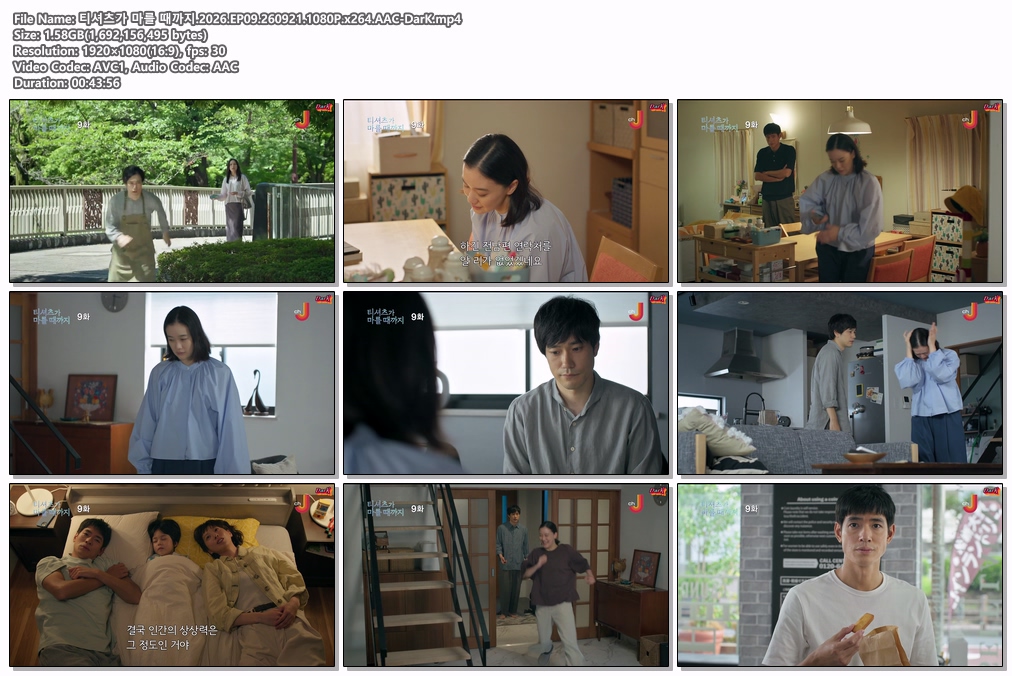 티셔츠가 마를 때까지.2026.EP09.2609..