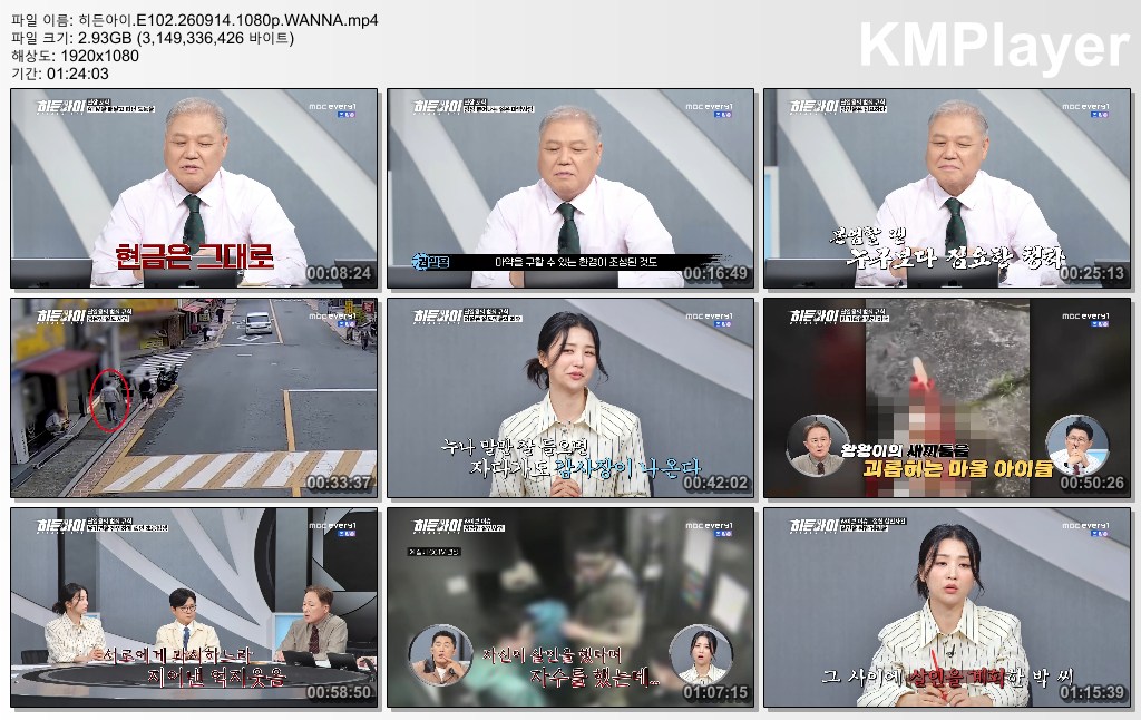 히든아이.E102.260914.1080p.WANNA
