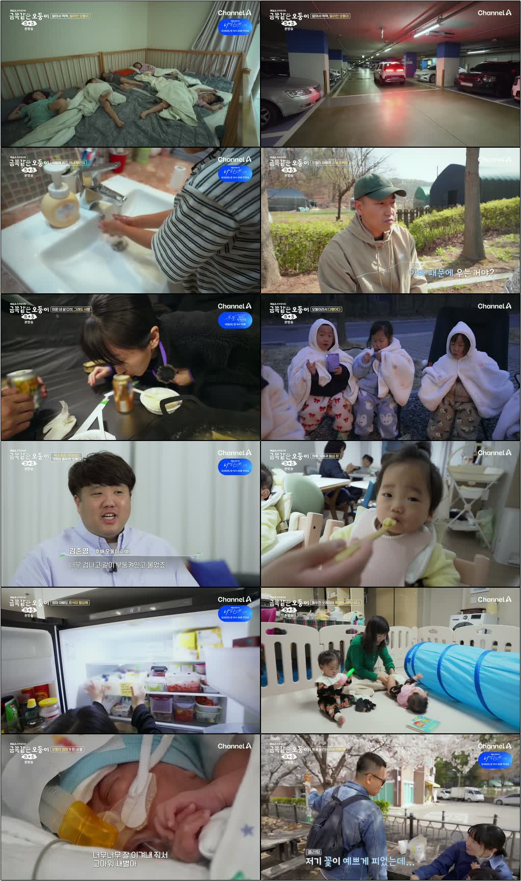 채널A 프라임 다큐 금쪽같은 오둥이 55.E01.260925.720p-NEXT
