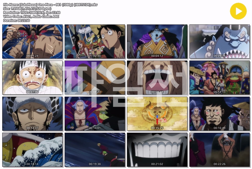 원피스 1080p 0981-0990 [SubsPlease]