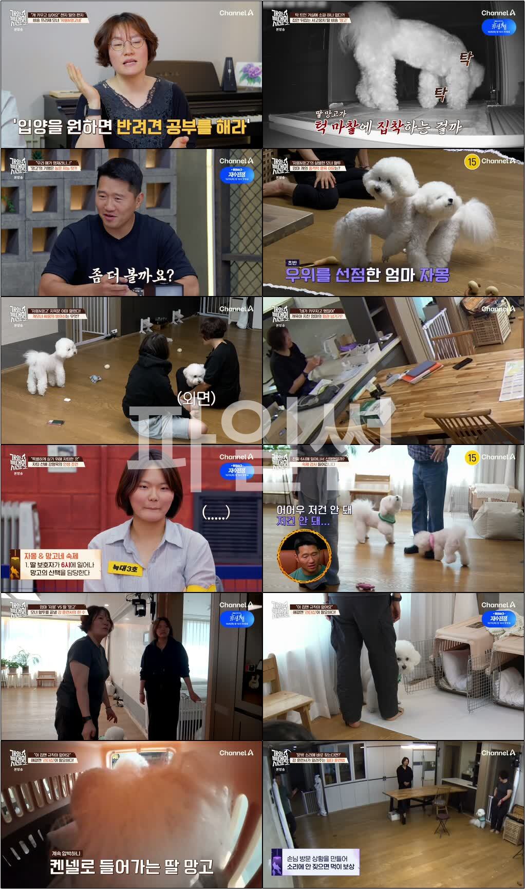 개와 늑대의 시간 2.E36.260930.720p-NEXT