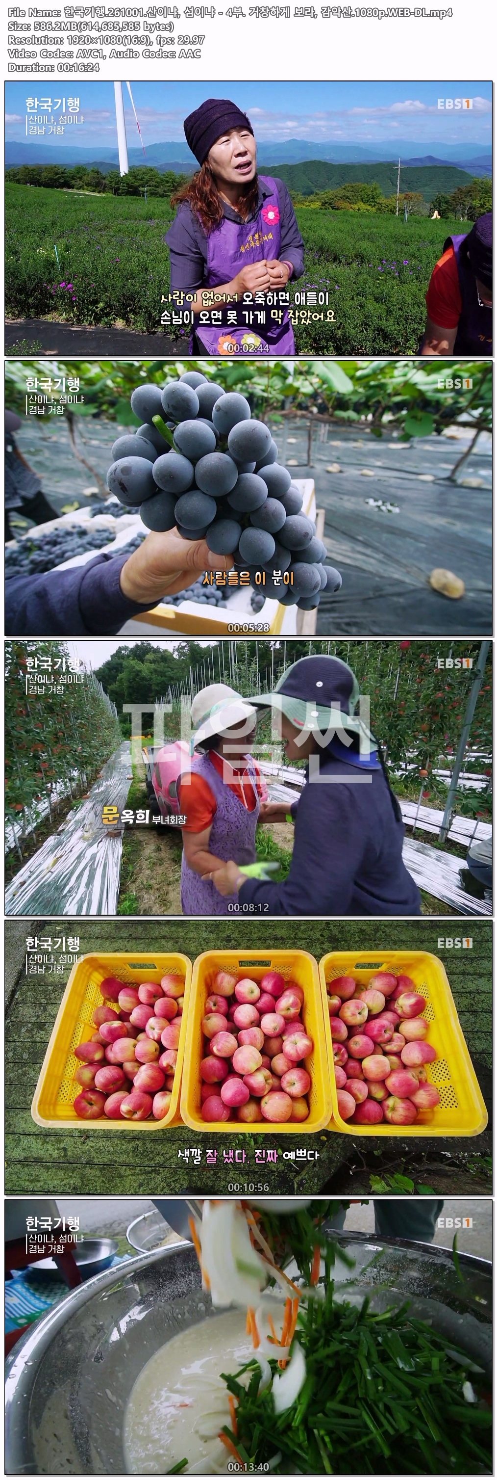 한국기행.261001.산이냐, 섬이냐 - 4부. 거창하게 보라, 감악산.1080p.WEB-DL