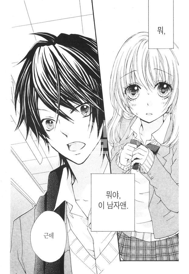 병아리 사랑 01-14 [완결]
