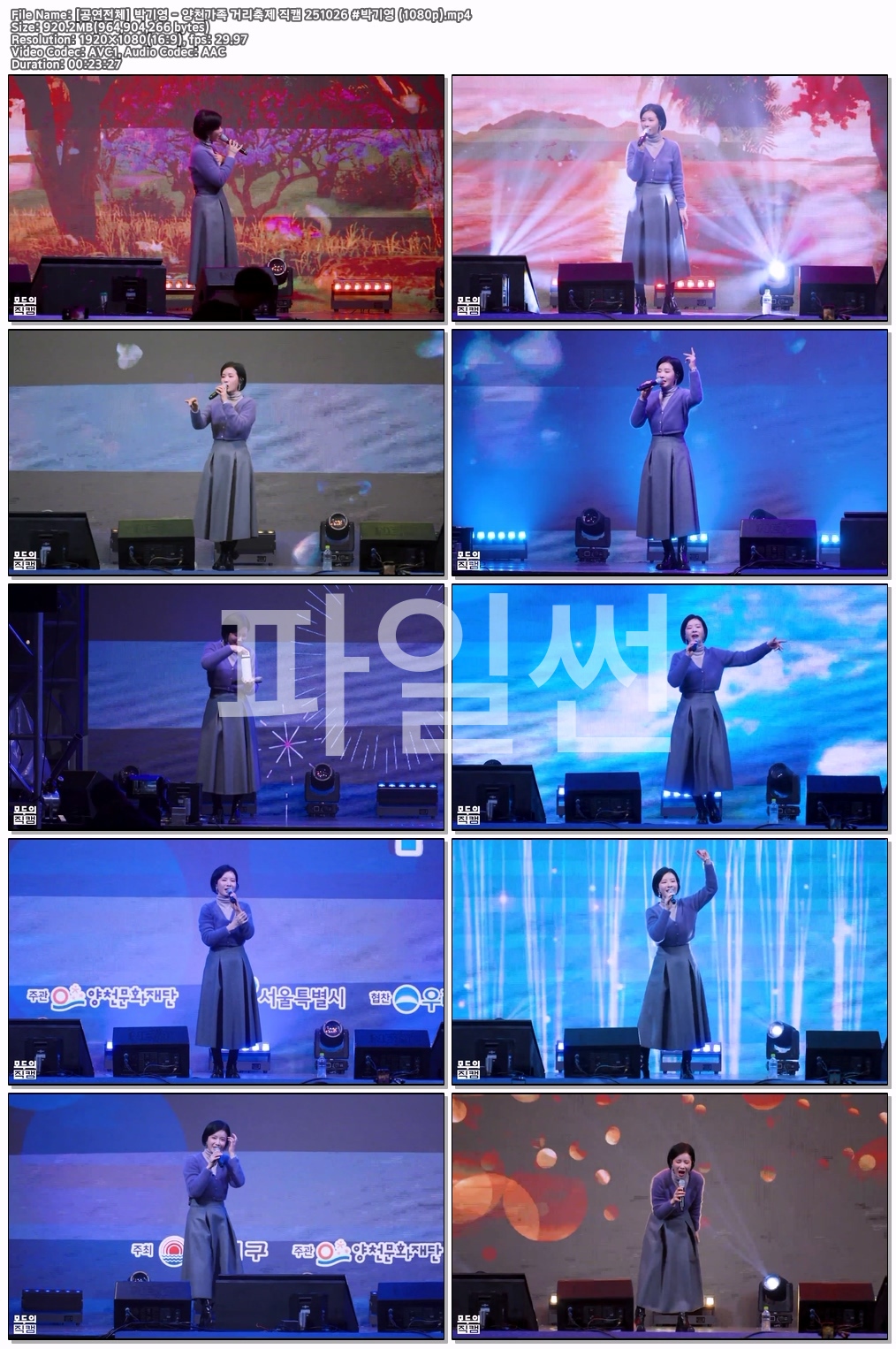 [공연전체] 박기영 - 양천가족 거리축제 직캠 ..