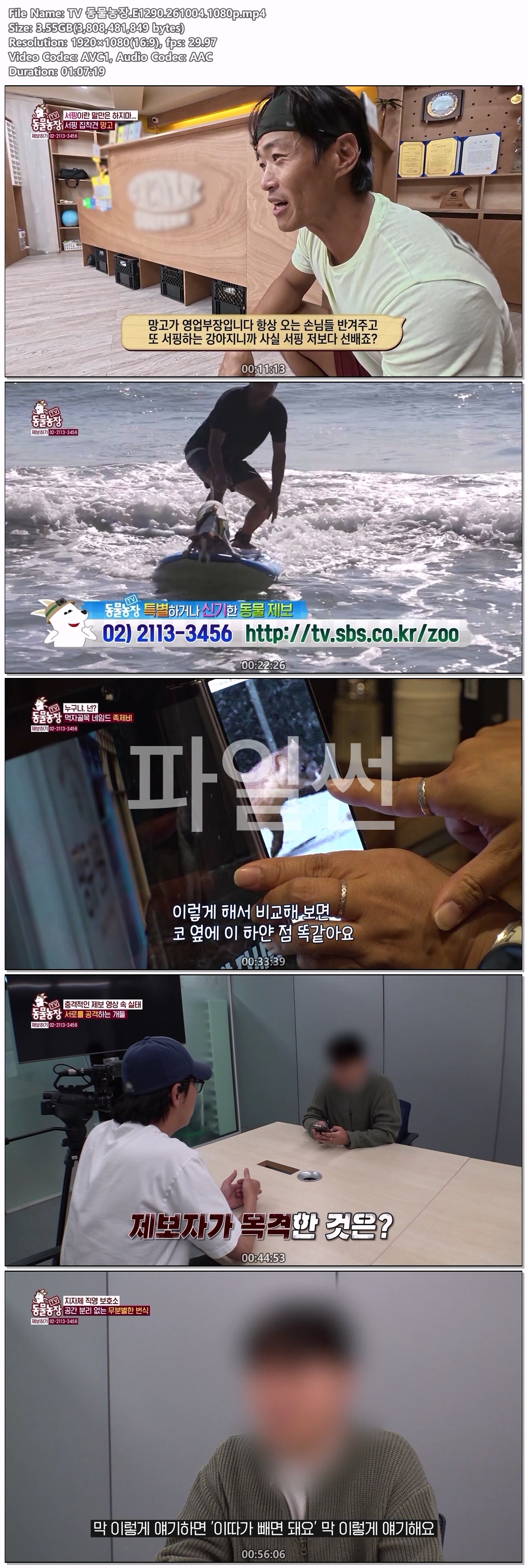 TV 동물농장.E1290.261004.1080p