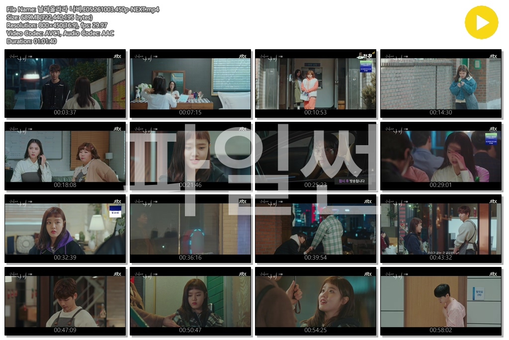 날아올라라 나비.E05.261003.450p-NEXT