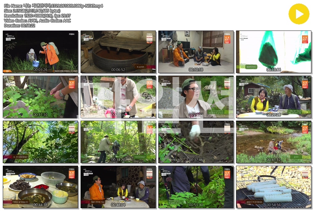 나는 자연인이다.E729.261005.1080p-NEXT