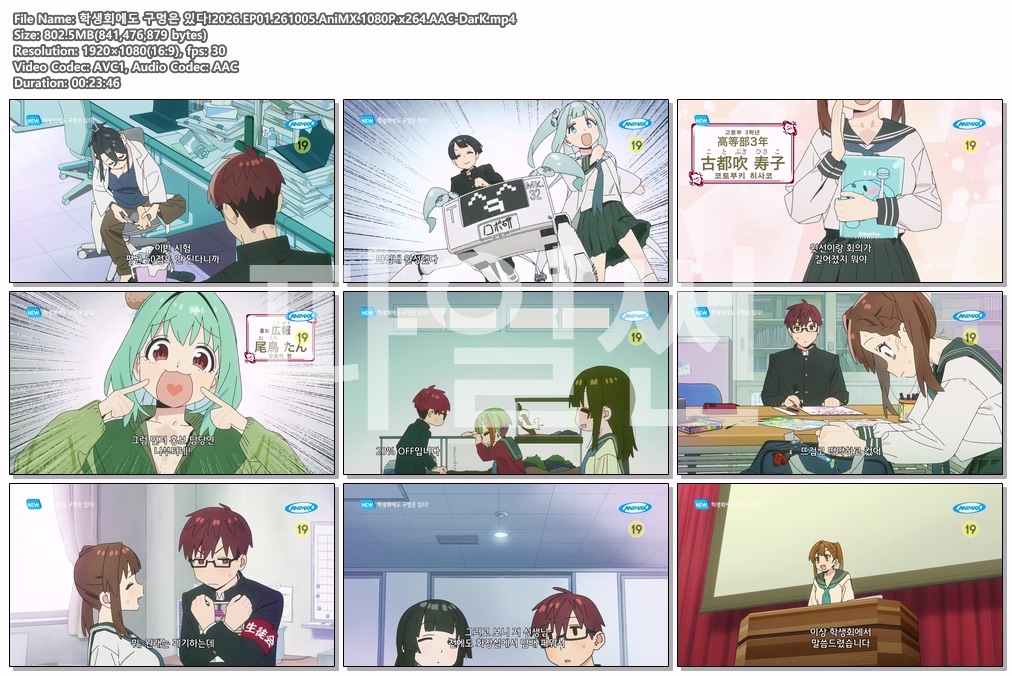 학생회에도 구멍은 있다!2026.EP01.261005.AniMX.1080P.x264.AAC-DarK