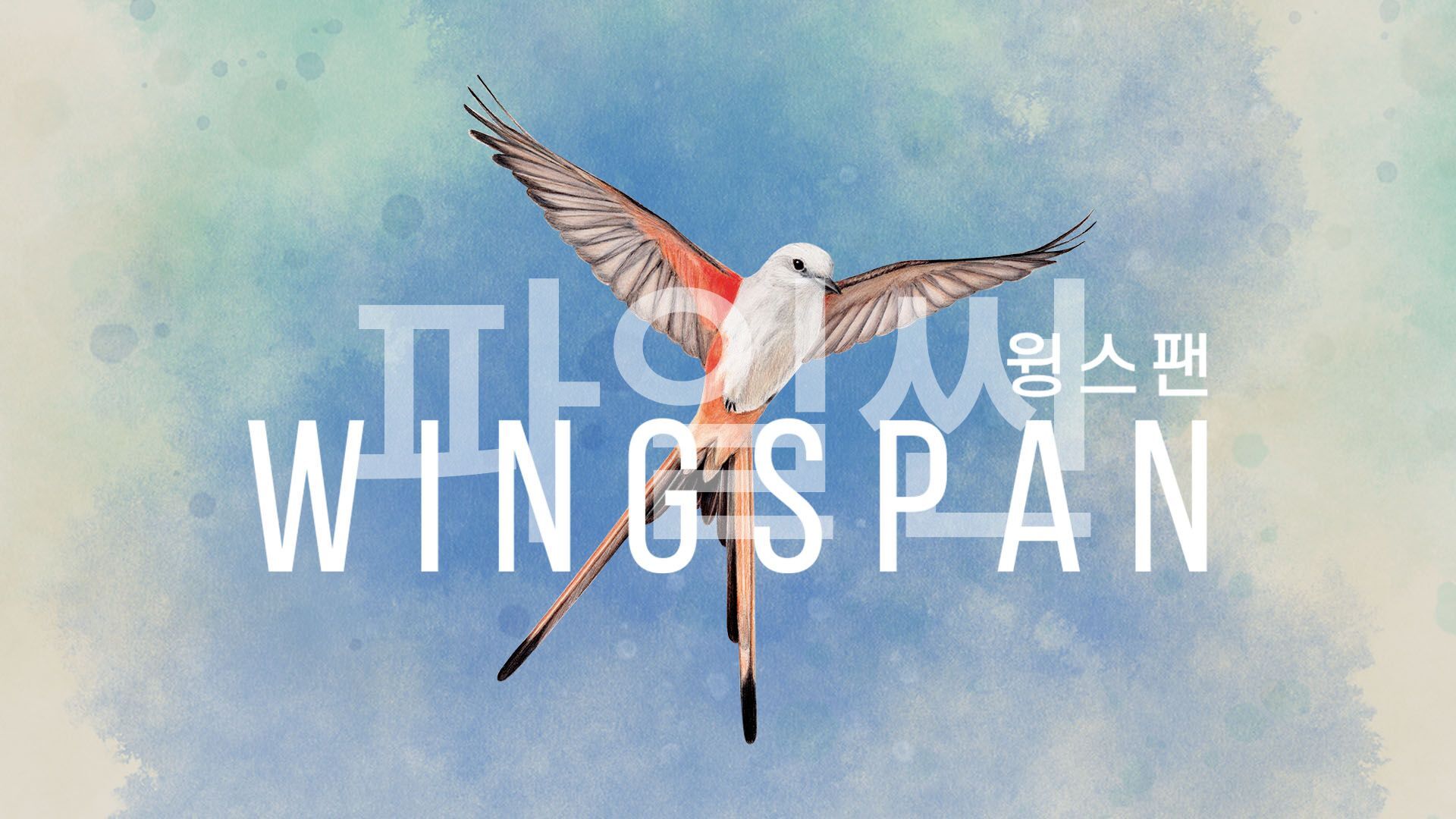 [NSW] 윙스팬 (WINGSPAN)