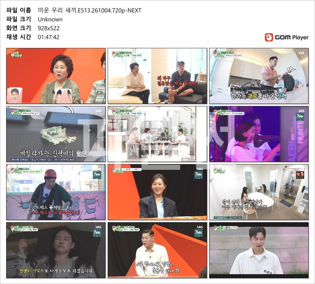 미운 우리 새끼.E513.261004.720p-NEXT