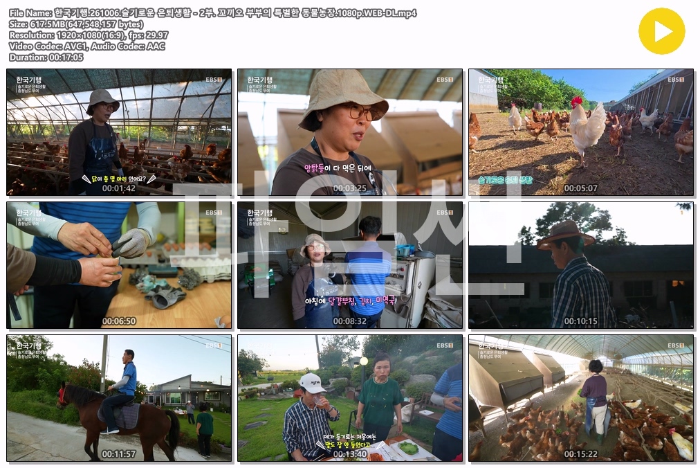한국기행.261006.슬기로운 은퇴생활 - 2부. 꼬끼오 부부의 특별한 동물농장.1080p.WEB-DL