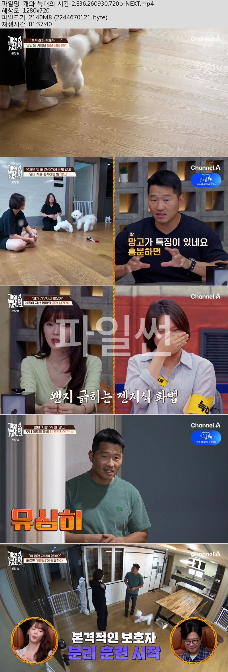 개와 늑대의 시간 2.E36.260930.720p-NEXT