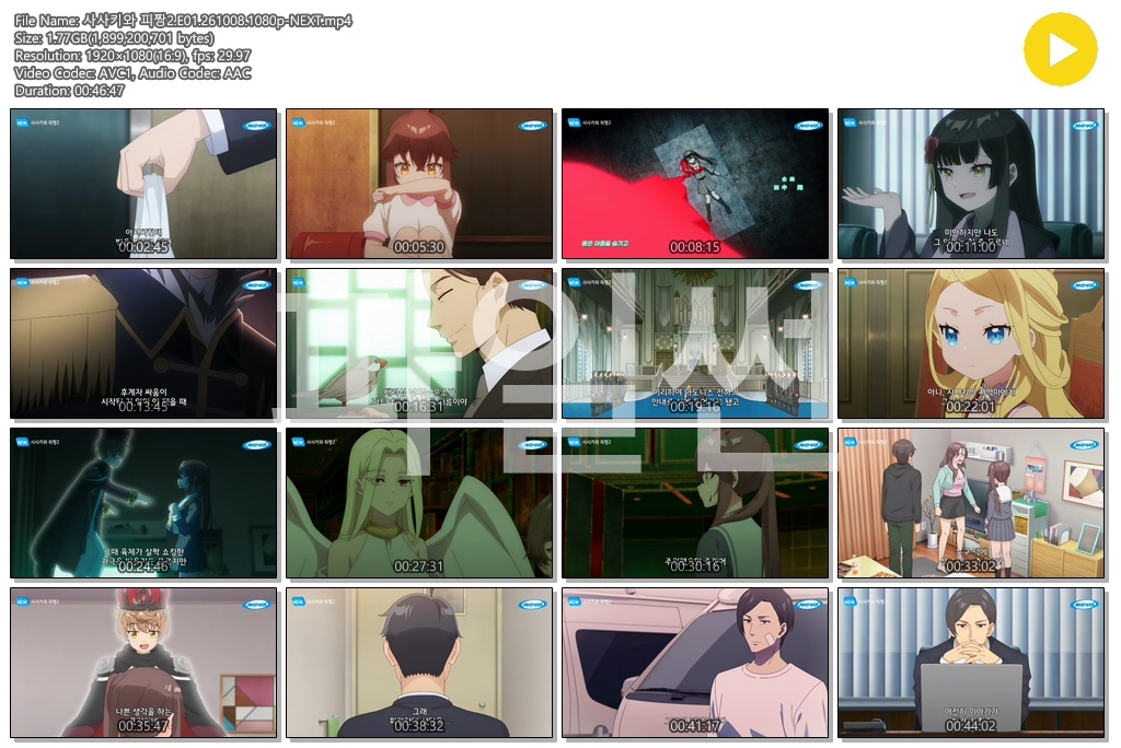 사사키와 피짱2.E01.261008.1080p-NEXT