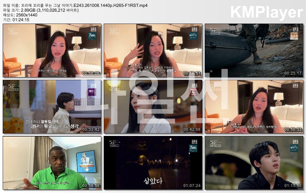 꼬리에 꼬리를 무는 그날 이야기.E243.261008.1440p.H265-F1RST