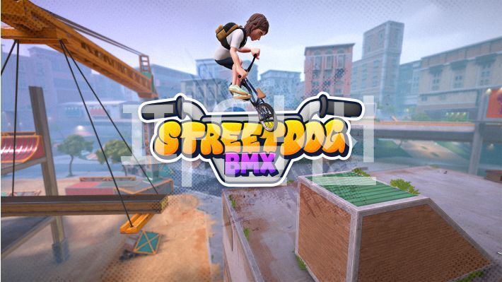 [NS] 스트리트독 BMX Streetdog BMX
